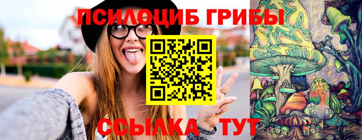 Новороссийск  Галлюциногенные грибы GOLDEN TEACHER  Вход с VPN 