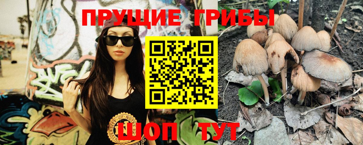 Галлюциногенные грибы Magic Shrooms Новороссийск
